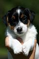 100628_ruben syli